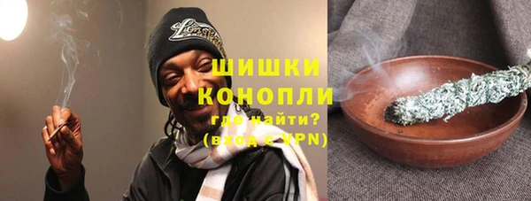 шишки Алексин