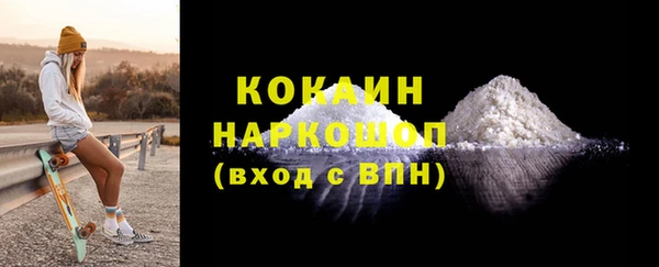 шишки Алексин