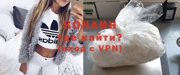 шишки Алексин